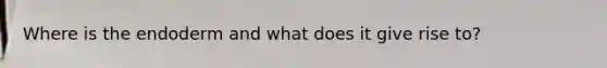 Where is the endoderm and what does it give rise to?