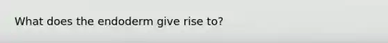 What does the endoderm give rise to?