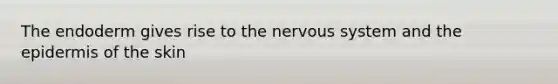 The endoderm gives rise to the nervous system and <a href='https://www.questionai.com/knowledge/kBFgQMpq6s-the-epidermis' class='anchor-knowledge'>the epidermis</a> of the skin