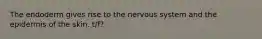 The endoderm gives rise to the nervous system and the epidermis of the skin. t/f?