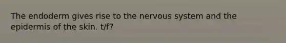 The endoderm gives rise to the nervous system and the epidermis of the skin. t/f?