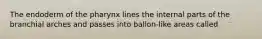 The endoderm of the pharynx lines the internal parts of the branchial arches and passes into ballon-like areas called