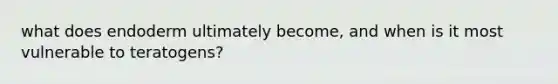 what does endoderm ultimately become, and when is it most vulnerable to teratogens?
