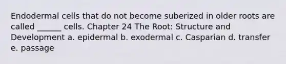 Endodermal cells that do not become suberized in older roots are called ______ cells. Chapter 24 The Root: Structure and Development a. epidermal b. exodermal c. Casparian d. transfer e. passage