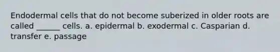 Endodermal cells that do not become suberized in older roots are called ______ cells. a. epidermal b. exodermal c. Casparian d. transfer e. passage