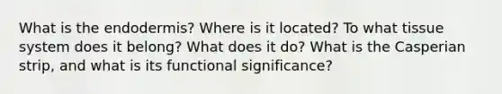 What is the endodermis? Where is it located? To what tissue system does it belong? What does it do? What is the Casperian strip, and what is its functional significance?