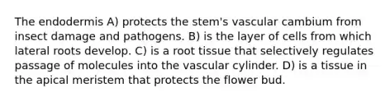 The endodermis A) protects the stem's vascular cambium from insect damage and pathogens. B) is the layer of cells from which lateral roots develop. C) is a root tissue that selectively regulates passage of molecules into the vascular cylinder. D) is a tissue in the apical meristem that protects the flower bud.