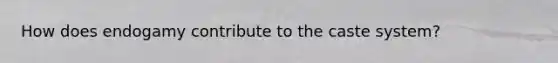 How does endogamy contribute to the caste system?