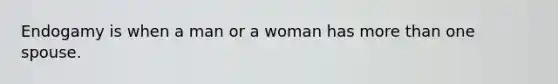 Endogamy is when a man or a woman has more than one spouse.