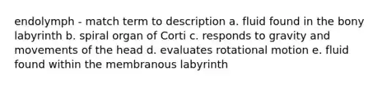 endolymph - match term to description a. fluid found in the bony labyrinth b. spiral organ of Corti c. responds to gravity and movements of the head d. evaluates rotational motion e. fluid found within the membranous labyrinth