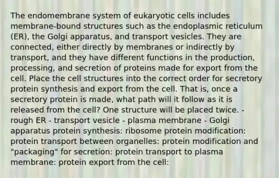 The endomembrane system of eukaryotic cells includes membrane‑bound structures such as the endoplasmic reticulum (ER), the Golgi apparatus, and transport vesicles. They are connected, either directly by membranes or indirectly by transport, and they have different functions in the production, processing, and secretion of proteins made for export from the cell. Place the cell structures into the correct order for secretory <a href='https://www.questionai.com/knowledge/kVyphSdCnD-protein-synthesis' class='anchor-knowledge'>protein synthesis</a> and export from the cell. That is, once a secretory protein is made, what path will it follow as it is released from the cell? One structure will be placed twice. - rough ER - transport vesicle - plasma membrane - Golgi apparatus protein synthesis: ribosome protein modification: protein transport between organelles: protein modification and "packaging" for secretion: protein transport to plasma membrane: protein export from the cell: