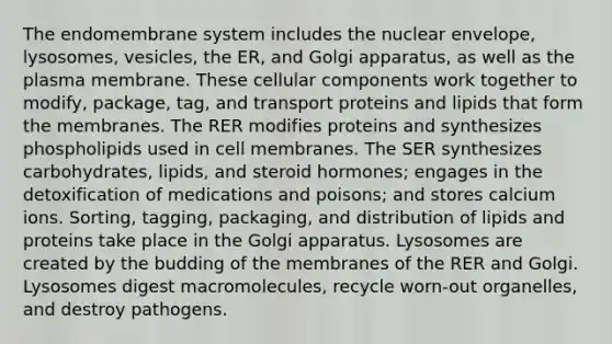 The endomembrane system includes the nuclear envelope, lysosomes, vesicles, the ER, and Golgi apparatus, as well as the plasma membrane. These cellular components work together to modify, package, tag, and transport proteins and lipids that form the membranes. The RER modifies proteins and synthesizes phospholipids used in cell membranes. The SER synthesizes carbohydrates, lipids, and steroid hormones; engages in the detoxification of medications and poisons; and stores calcium ions. Sorting, tagging, packaging, and distribution of lipids and proteins take place in the Golgi apparatus. Lysosomes are created by the budding of the membranes of the RER and Golgi. Lysosomes digest macromolecules, recycle worn-out organelles, and destroy pathogens.