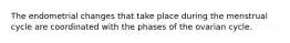 The endometrial changes that take place during the menstrual cycle are coordinated with the phases of the ovarian cycle.