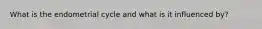What is the endometrial cycle and what is it influenced by?