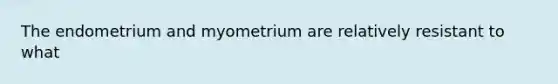 The endometrium and myometrium are relatively resistant to what