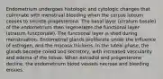 Endometrium undergoes histologic and cytologic changes that culminate with menstrual bleeding when the corpus luteum ceases to secrete progesterone. The basal layer (stratum basale) of the endometrium then regenerates the functional layer (stratum functionale). The functional layer is shed during menstruation. Endometrial glands proliferate under the influence of estrogen, and the mucosa thickens. In the luteal phase, the glands become coiled and secretory, with increased vascularity and edema of the tissue. When estradiol and progesterone decline, the endometrium blood vessels necrose and bleeding ensues.