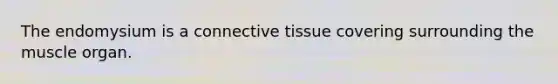 The endomysium is a connective tissue covering surrounding the muscle organ.