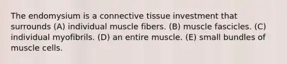 The endomysium is a connective tissue investment that surrounds (A) individual muscle fibers. (B) muscle fascicles. (C) individual myofibrils. (D) an entire muscle. (E) small bundles of muscle cells.