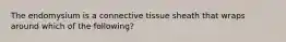 The endomysium is a connective tissue sheath that wraps around which of the following?