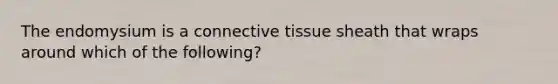 The endomysium is a connective tissue sheath that wraps around which of the following?