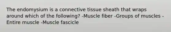 The endomysium is a connective tissue sheath that wraps around which of the following? -Muscle fiber -Groups of muscles -Entire muscle -Muscle fascicle