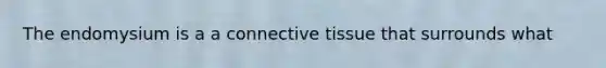 The endomysium is a a <a href='https://www.questionai.com/knowledge/kYDr0DHyc8-connective-tissue' class='anchor-knowledge'>connective tissue</a> that surrounds what