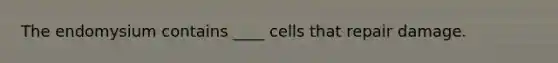 The endomysium contains ____ cells that repair damage.