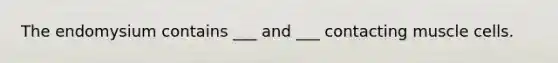 The endomysium contains ___ and ___ contacting muscle cells.