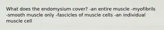 What does the endomysium cover? -an entire muscle -myofibrils -smooth muscle only -fascicles of muscle cells -an individual muscle cell