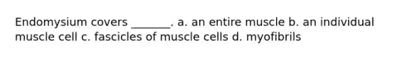 Endomysium covers _______. a. an entire muscle b. an individual muscle cell c. fascicles of muscle cells d. myofibrils