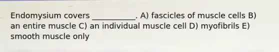 Endomysium covers ___________. A) fascicles of muscle cells B) an entire muscle C) an individual muscle cell D) myofibrils E) smooth muscle only