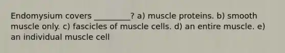 Endomysium covers _________? a) muscle proteins. b) smooth muscle only. c) fascicles of muscle cells. d) an entire muscle. e) an individual muscle cell