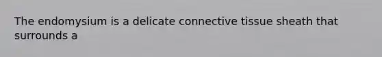 The endomysium is a delicate <a href='https://www.questionai.com/knowledge/kYDr0DHyc8-connective-tissue' class='anchor-knowledge'>connective tissue</a> sheath that surrounds a