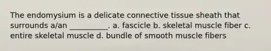 The endomysium is a delicate connective tissue sheath that surrounds a/an __________. a. fascicle b. skeletal muscle fiber c. entire skeletal muscle d. bundle of smooth muscle fibers