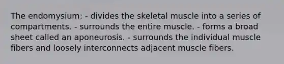 The endomysium: - divides the skeletal muscle into a series of compartments. - surrounds the entire muscle. - forms a broad sheet called an aponeurosis. - surrounds the individual muscle fibers and loosely interconnects adjacent muscle fibers.