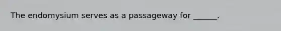 The endomysium serves as a passageway for ______.