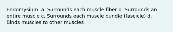 Endomysium. a. Surrounds each muscle fiber b. Surrounds an entire muscle c. Surrounds each muscle bundle (fascicle) d. Binds muscles to other muscles