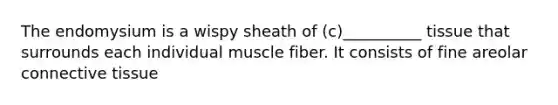 The endomysium is a wispy sheath of (c)__________ tissue that surrounds each individual muscle fiber. It consists of fine areolar connective tissue