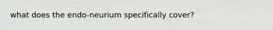 what does the endo-neurium specifically cover?