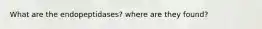 What are the endopeptidases? where are they found?