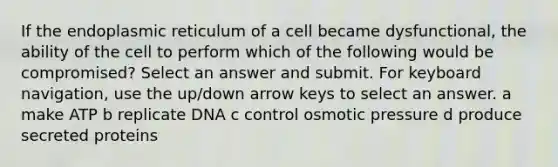 If the endoplasmic reticulum of a cell became dysfunctional, the ability of the cell to perform which of the following would be compromised? Select an answer and submit. For keyboard navigation, use the up/down arrow keys to select an answer. a make ATP b replicate DNA c control osmotic pressure d produce secreted proteins