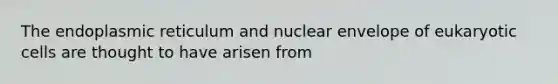 The endoplasmic reticulum and nuclear envelope of eukaryotic cells are thought to have arisen from