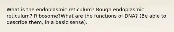 What is the endoplasmic reticulum? Rough endoplasmic reticulum? Ribosome?What are the functions of DNA? (Be able to describe them, in a basic sense).