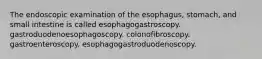 The endoscopic examination of the esophagus, stomach, and small intestine is called esophagogastroscopy. gastroduodenoesophagoscopy. colonofibroscopy. gastroenteroscopy. esophagogastroduodenoscopy.