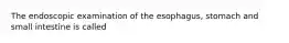 The endoscopic examination of the esophagus, stomach and small intestine is called