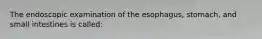 The endoscopic examination of the esophagus, stomach, and small intestines is called: