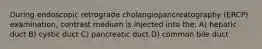 During endoscopic retrograde cholangiopancreatography (ERCP) examination, contrast medium is injected into the: A) hepatic duct B) cystic duct C) pancreatic duct D) common bile duct