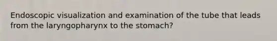 Endoscopic visualization and examination of the tube that leads from the laryngopharynx to the stomach?