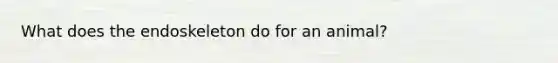 What does the endoskeleton do for an animal?