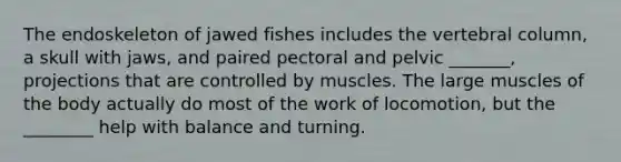 The endoskeleton of jawed fishes includes the vertebral column, a skull with jaws, and paired pectoral and pelvic _______, projections that are controlled by muscles. The large muscles of the body actually do most of the work of locomotion, but the ________ help with balance and turning.